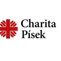 Dana Vejšická, Oblastní charita Písek